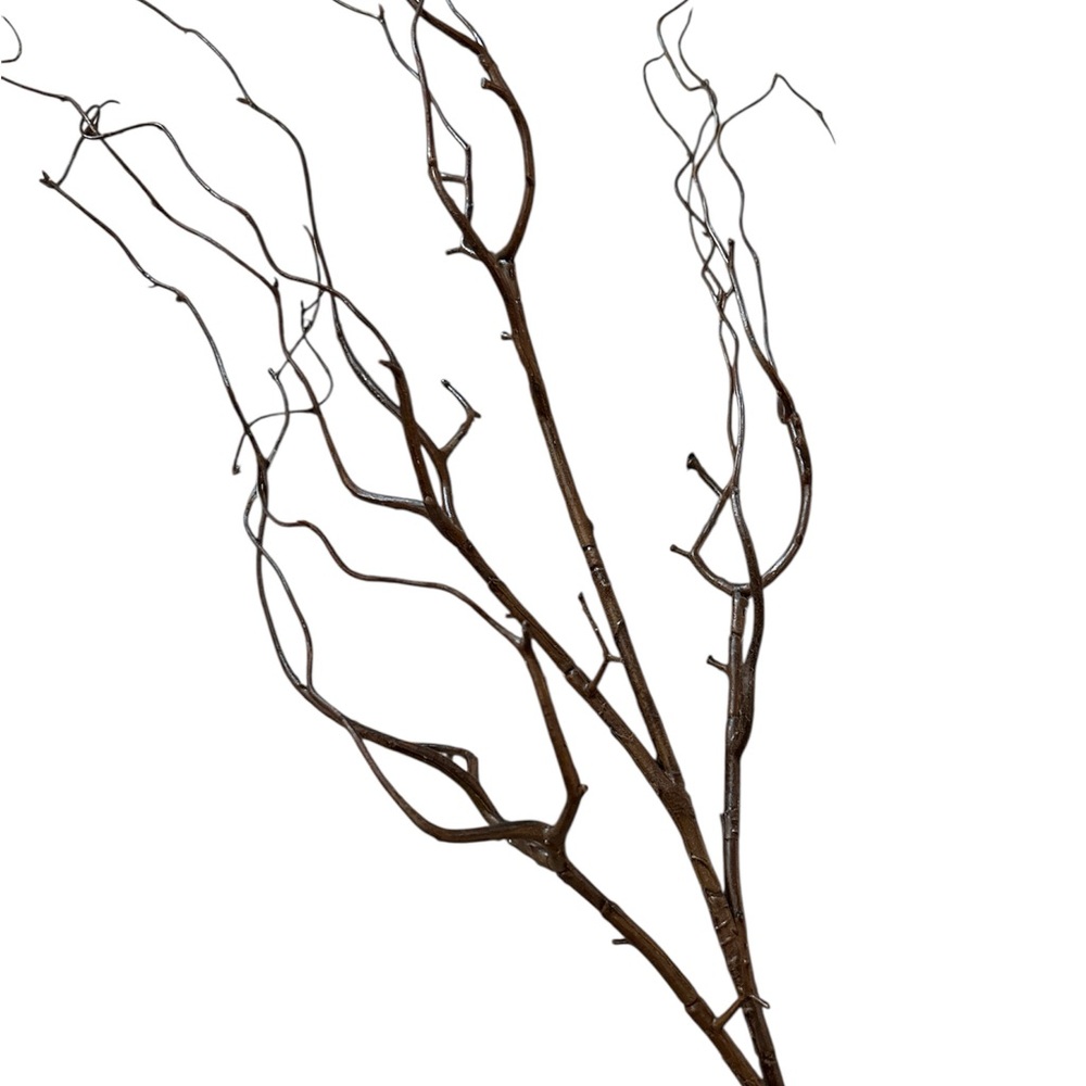 Decorative Brown Twig Branches